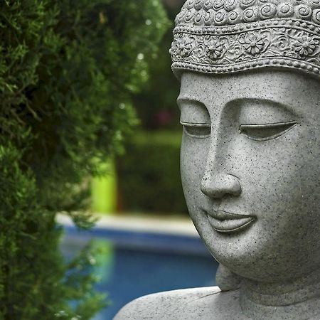 Casa Domingo Hotel Petit Miacatlán Zewnętrze zdjęcie