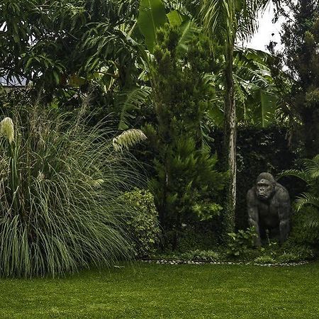 Casa Domingo Hotel Petit Miacatlán Zewnętrze zdjęcie