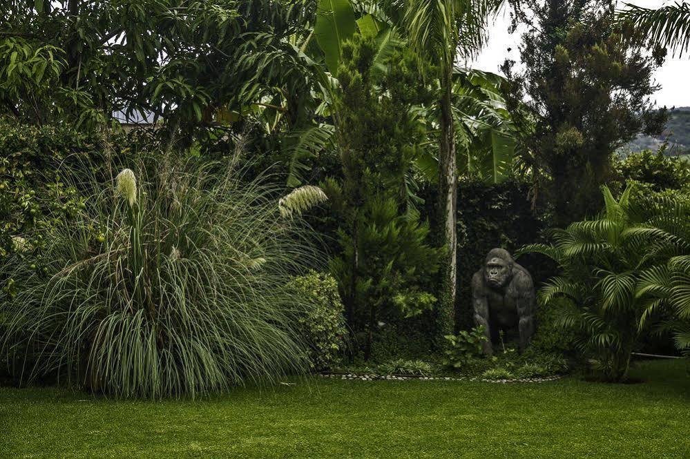 Casa Domingo Hotel Petit Miacatlán Zewnętrze zdjęcie